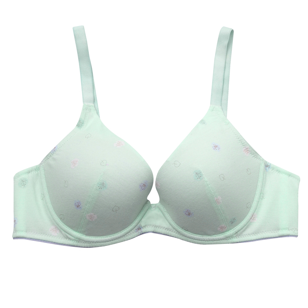 【BeenTeen 嬪婷】環保咖啡紗 D 罩杯少女內衣 親膚透氣-BB2359FK(灰) 歷史價格詳細信息