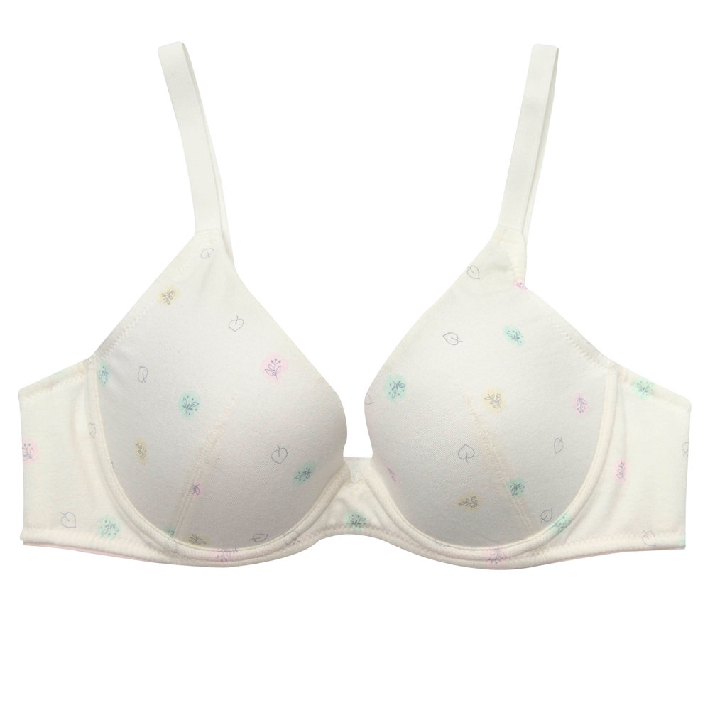 【BeenTeen 嬪婷】環保咖啡紗 D 罩杯少女內衣 親膚透氣-BB2359FK(灰) 歷史價格詳細信息