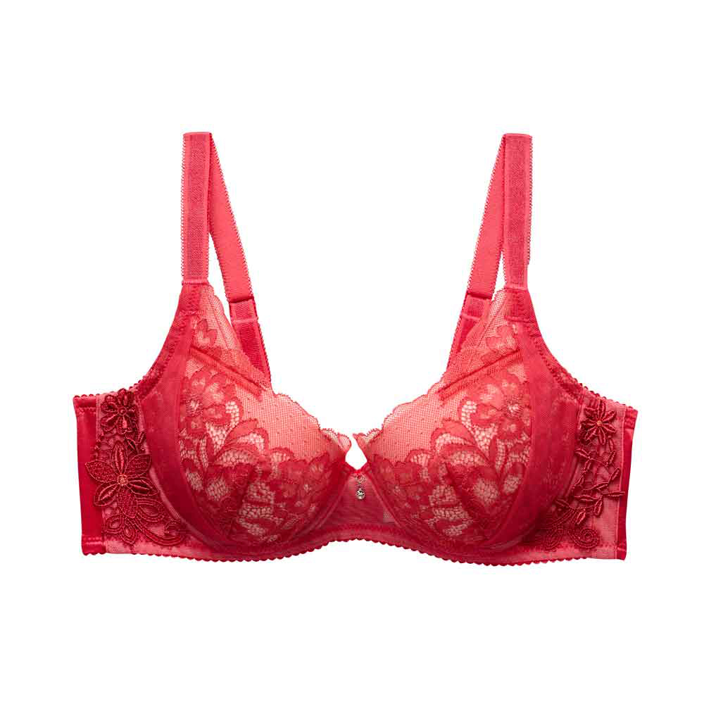 莎薇-魔力推推 B-C罩杯內衣(巧克棕) 高脅設計-防止副乳-AB4628T4 歷史價格詳細信息