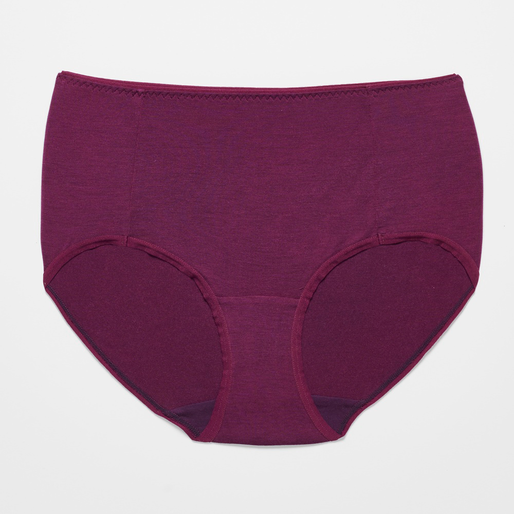 【WACOAL華歌爾】健康內褲- M-3L中高腰三角褲(石英藍) 莫代爾+抑菌紗-NSC025VJ 歷史價格詳細信息