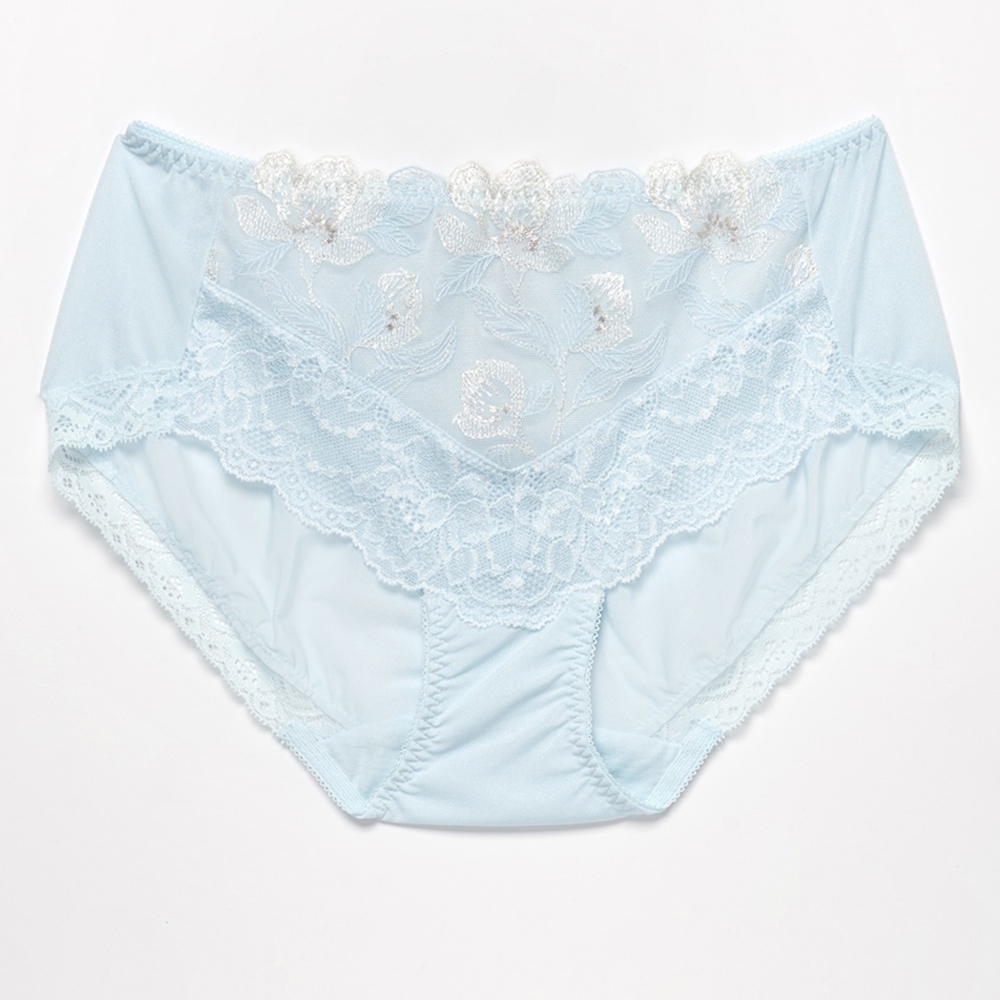 華歌爾-深V 量身打造美一刻 M-LL低腰細帶三角褲(尊貴藍) NB4594搭配內褲-NS2394NZ 歷史價格詳細信息