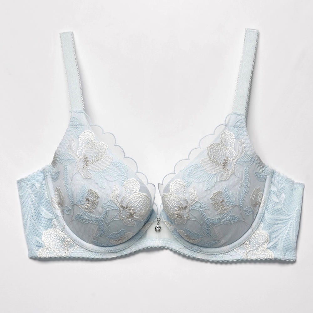 華歌爾-深V 量身打造美一刻 A-C罩杯內衣(尊貴藍)-NB4594NZ 歷史價格詳細信息