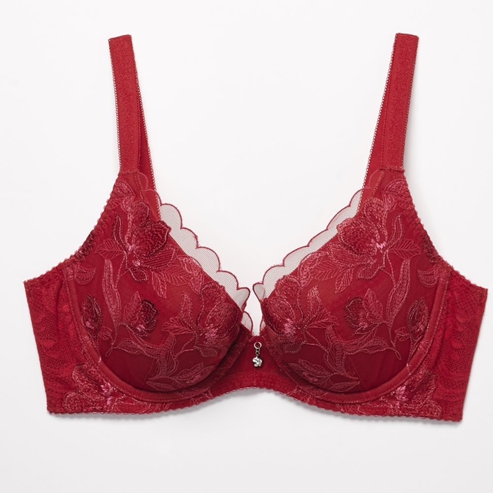 華歌爾-深V 量身打造美一刻 A-C罩杯內衣(尊貴藍)-NB4594NZ 歷史價格詳細信息