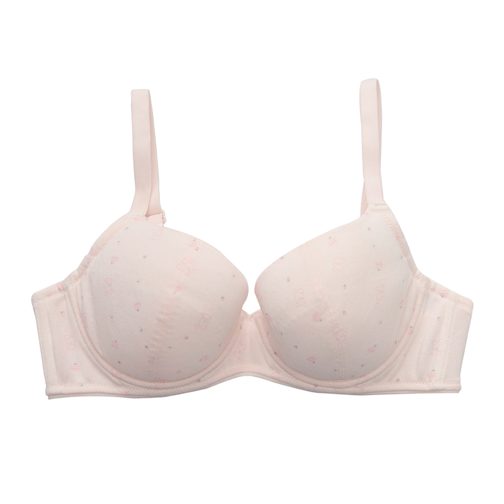 嬪婷-學生系列-甲殼素 A-D罩杯第三階段軟鋼圈內衣(青草綠) BB2307C6 歷史價格詳細信息