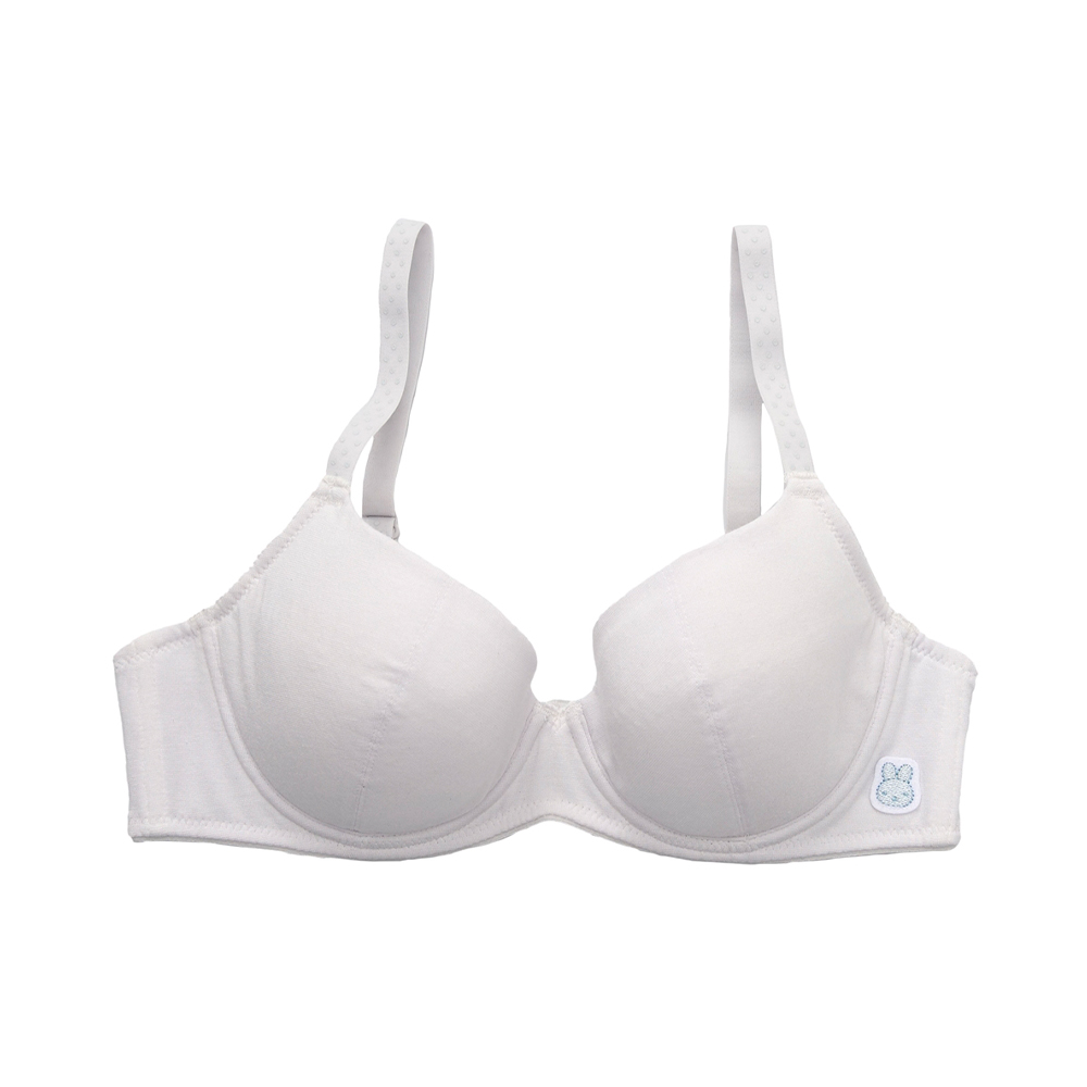 嬪婷-學生系列-甲殼素 A-D罩杯第三階段軟鋼圈內衣(青草綠) BB2307C6 歷史價格詳細信息