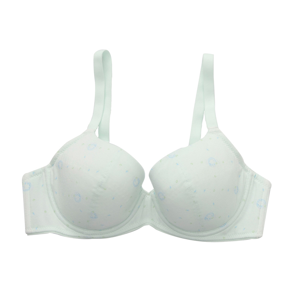 嬪婷-學生系列-甲殼素 A-D罩杯第三階段軟鋼圈內衣(青草綠) BB2307C6 歷史價格詳細信息