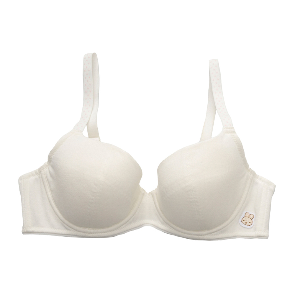 嬪婷-學生系列-甲殼素 A-D罩杯第三階段軟鋼圈內衣(青草綠) BB2307C6 歷史價格詳細信息