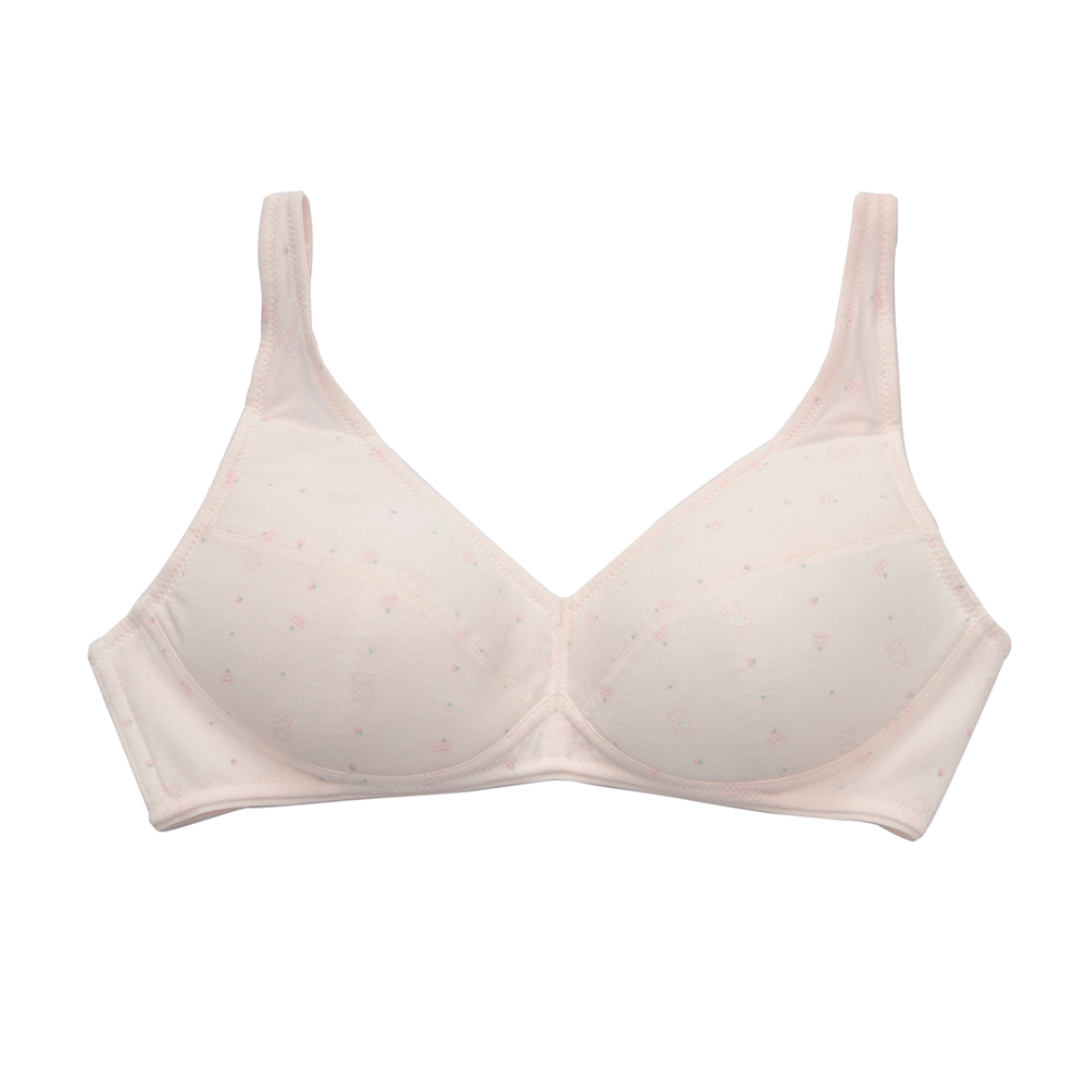 嬪婷-學生系列-甲殼素 A-D罩杯第三階段軟鋼圈內衣(青草綠) BB2307C6 歷史價格詳細信息