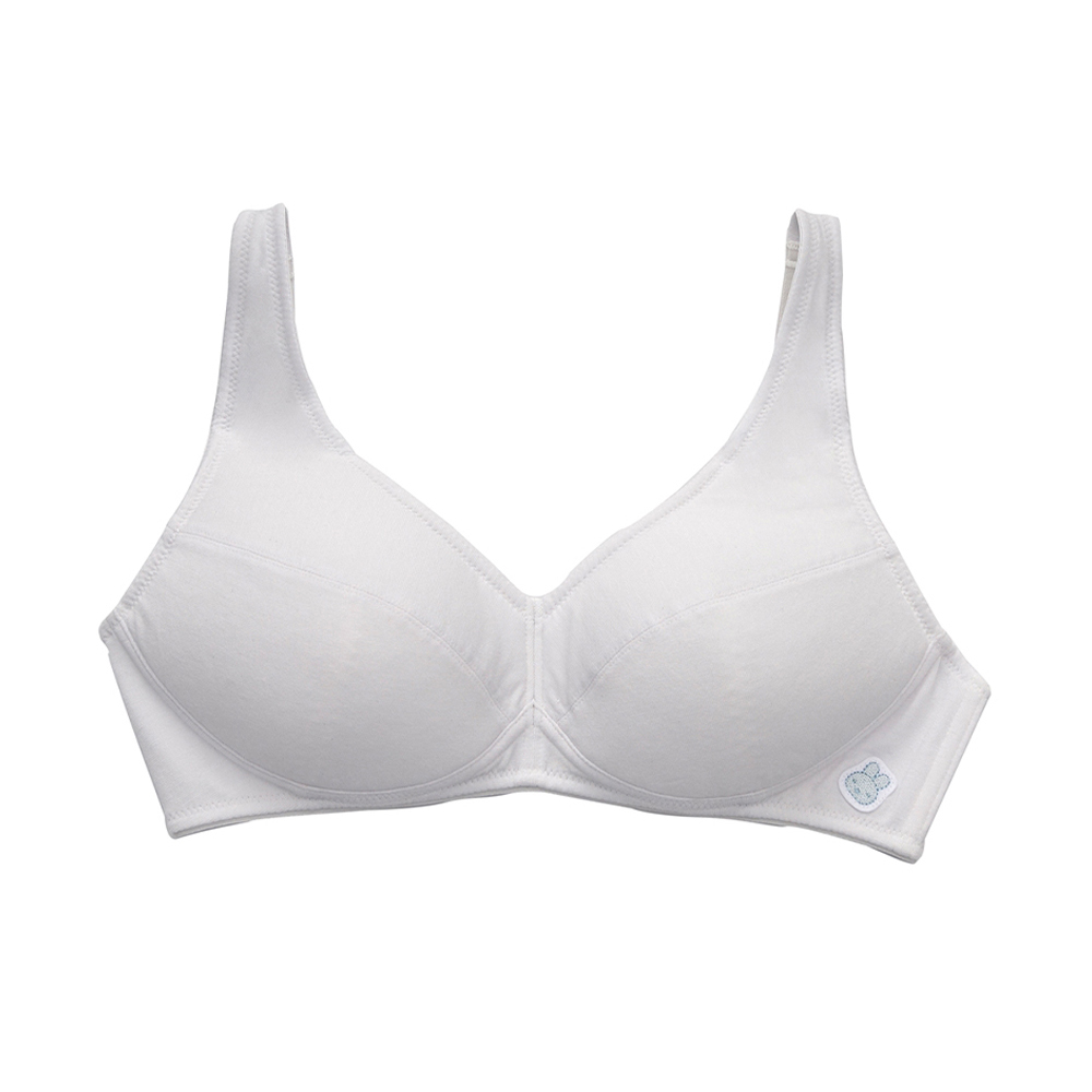 嬪婷-學生系列-甲殼素 A-D罩杯第三階段軟鋼圈內衣(青草綠) BB2307C6 歷史價格詳細信息