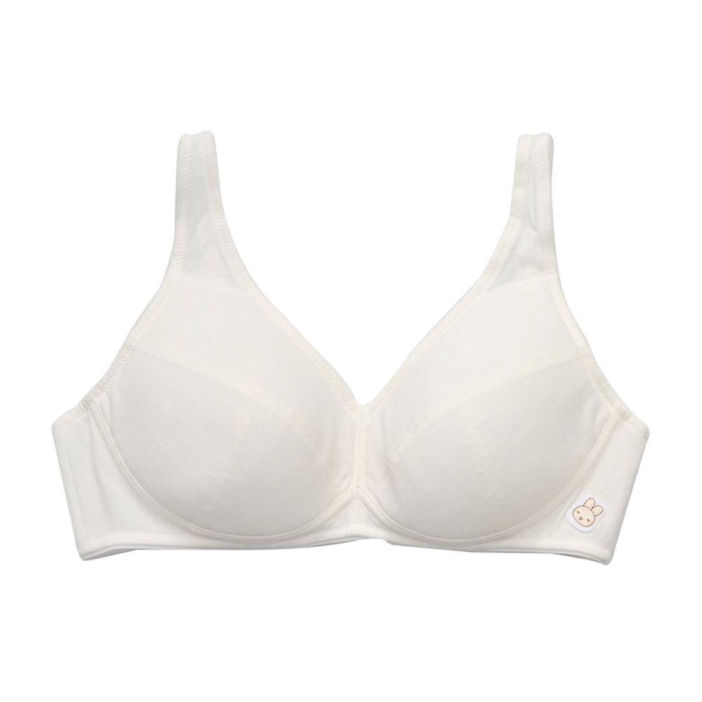 嬪婷-學生系列-甲殼素 A-D罩杯第三階段軟鋼圈內衣(青草綠) BB2307C6 歷史價格詳細信息