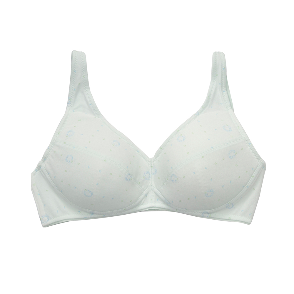 嬪婷-學生系列-甲殼素 A-D罩杯第三階段軟鋼圈內衣(青草綠) BB2307C6 歷史價格詳細信息