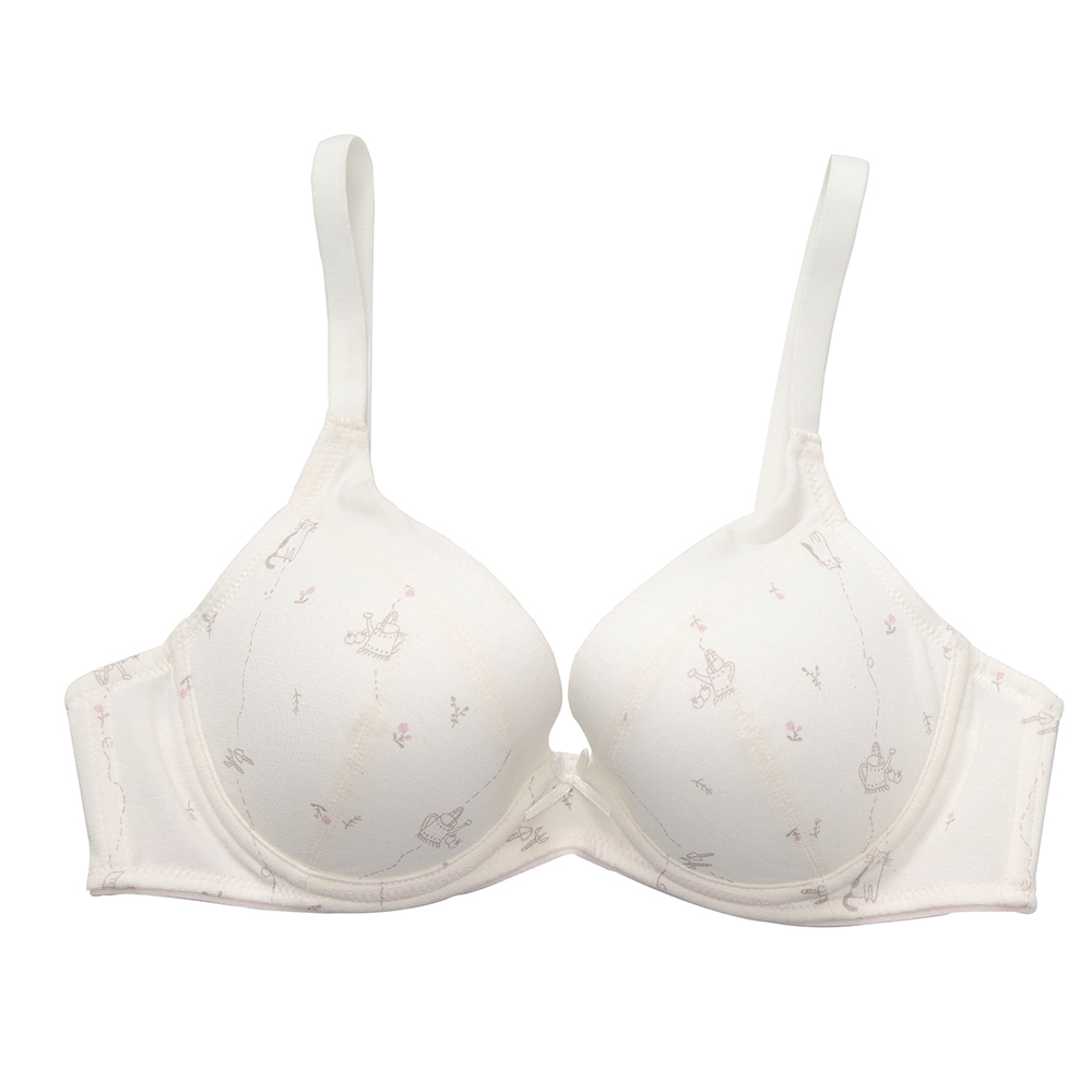 【BeenTeen 嬪婷】I Earth-環保系列 M-3L夜間生理褲 BB3645搭配內褲-BS4545UQ(香芬紫) 歷史價格詳細信息