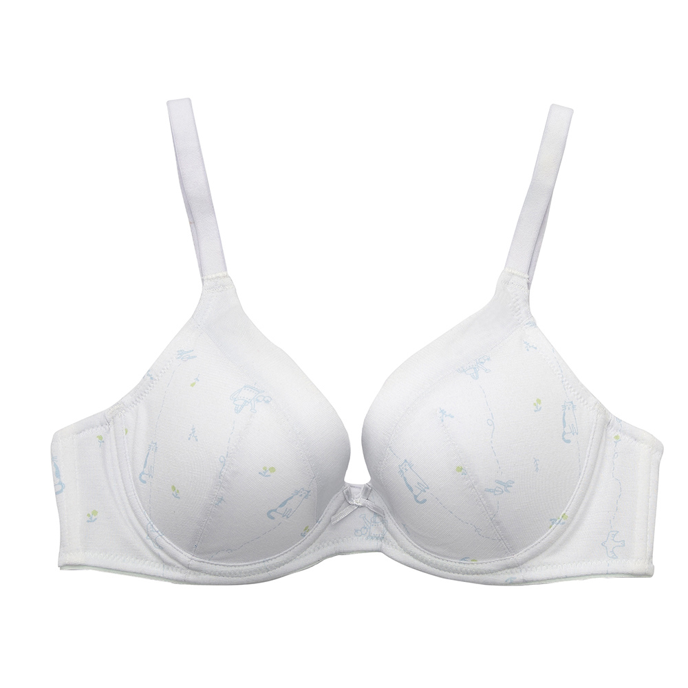 【BeenTeen 嬪婷】I Earth-環保系列 M-3L夜間生理褲 BB3645搭配內褲-BS4545UQ(香芬紫) 歷史價格詳細信息