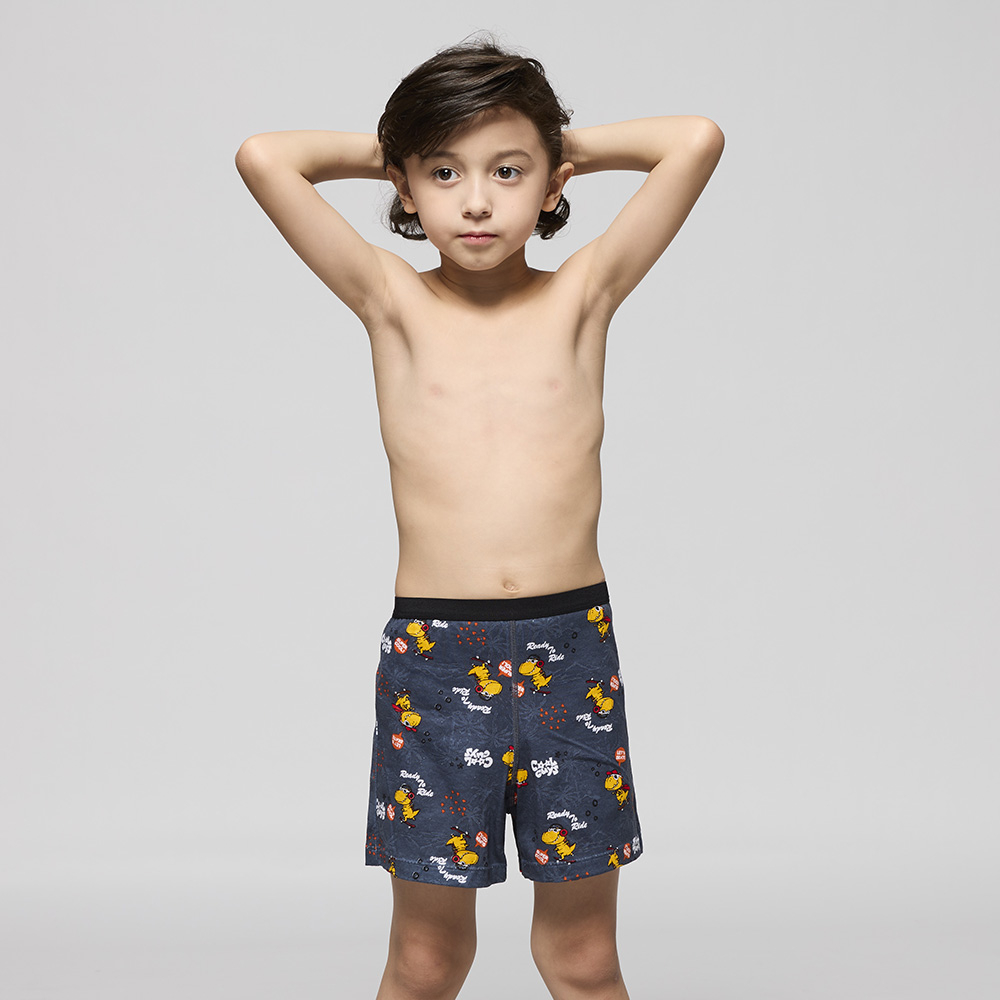 DADADO-滑向朱羅紀 140-160男童內褲(灰) 品牌推薦-舒適寬鬆-GCQ320GY 歷史價格詳細信息