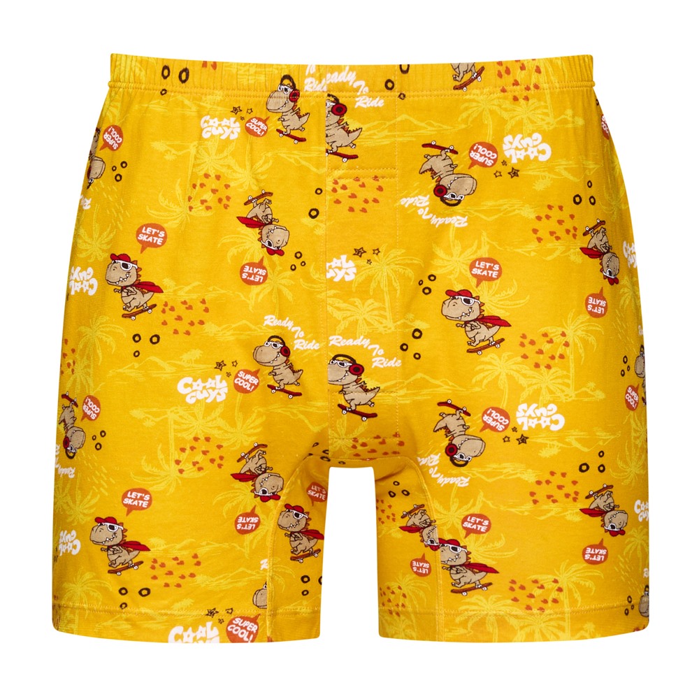 DADADO-滑向朱羅紀 140-160男童內褲(灰) 品牌推薦-舒適寬鬆-GCQ320GY 歷史價格詳細信息