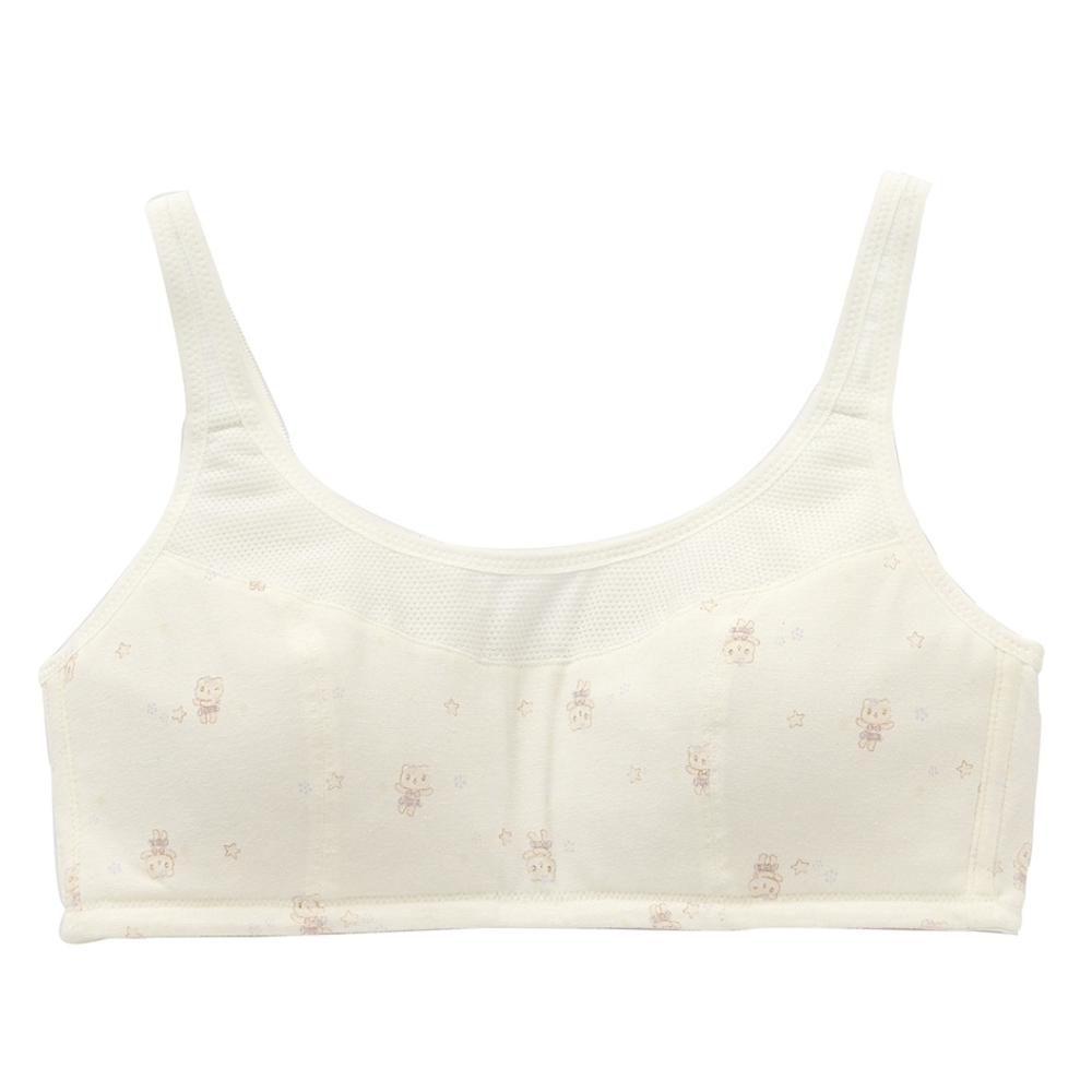 嬪婷-學生系列-ACE ICE涼爽纖維 AA70-85罩杯第二階段內衣(快樂粉)-BB1632LP 歷史價格詳細信息