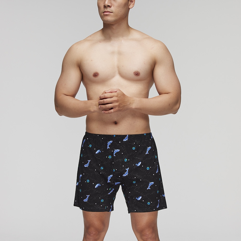 【Mr. DADADO】滑向朱羅紀 M-3L印花四角男內褲 天然絲光棉-吸濕排汗-GHQ320GY(灰) 歷史價格詳細信息