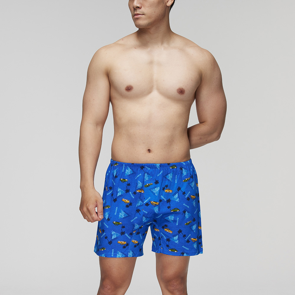 【Mr. DADADO】經典持續款輕透性感 M-LL四角褲GS6632DR(神秘紅) 歷史價格詳細信息