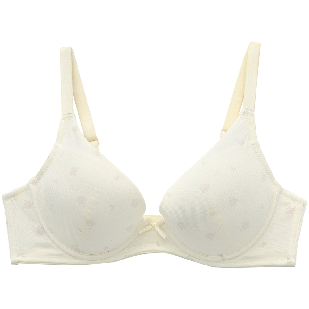 嬪婷-環保系列-零碳天絲?纖維 M-3L中低腰小平口夜間生理褲(溫柔紫) BB3665搭配內褲-BS4565UM 歷史價格詳細信息