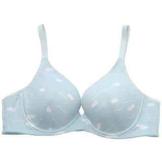 嬪婷-校園運動系列 B-C罩杯內衣(活力粉)-BB2329P8 歷史價格詳細信息