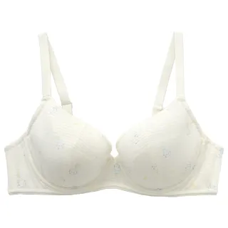 嬪婷-學生系列-去味纖維 S-LL第一階段內衣(天使白) BB1094I1 歷史價格詳細信息