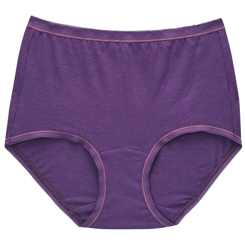 華歌爾-竹炭纖維 M-LL中腰高裾三角褲(紫) 促進血液循環-NS5126U4 歷史價格詳細信息