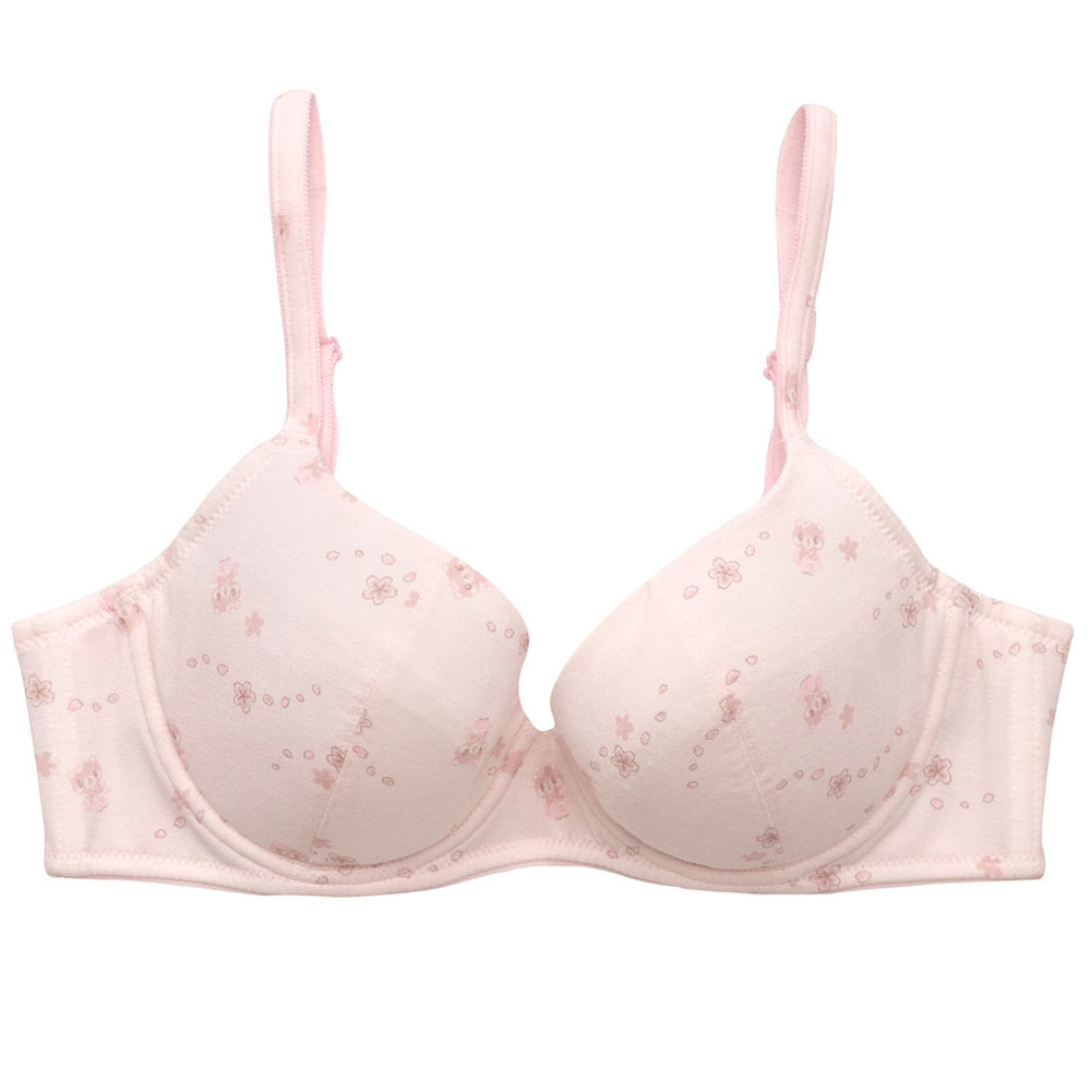 嬪婷-學生系列-冰牛奶纖維 A-C罩杯少女內衣(櫻花粉) -BB2360P8 歷史價格詳細信息