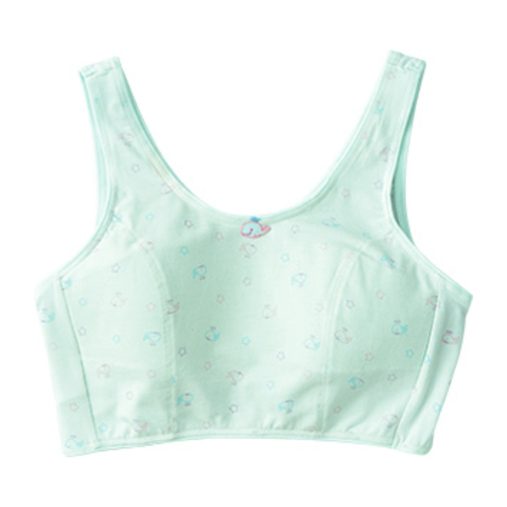 嬪婷-冰牛奶纖維 S-LL學生一階內衣(活力灰) 套穿式短背心-BB1085FX 歷史價格詳細信息