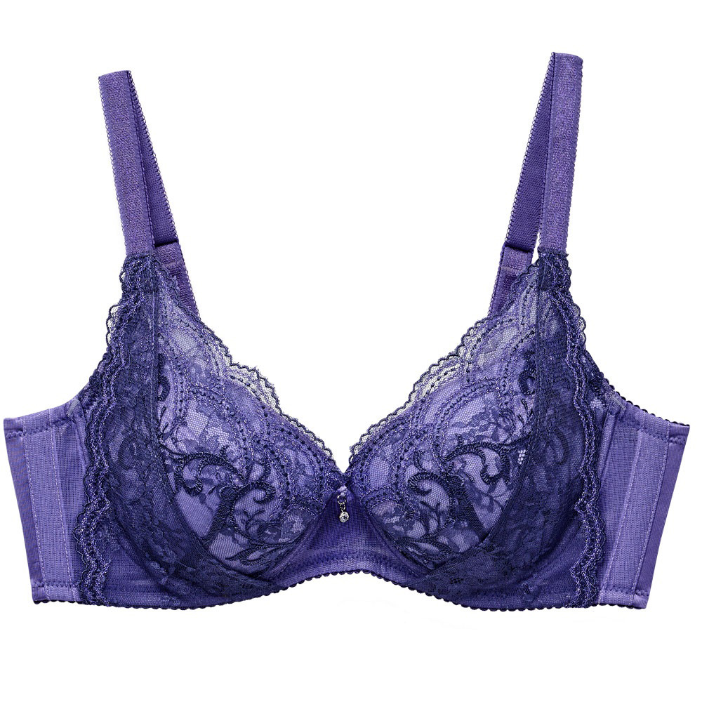 莎薇-蕾絲新視角 D90.E90.F90罩杯內衣(富麗紫) 魔力推推-AB4524VI 歷史價格詳細信息
