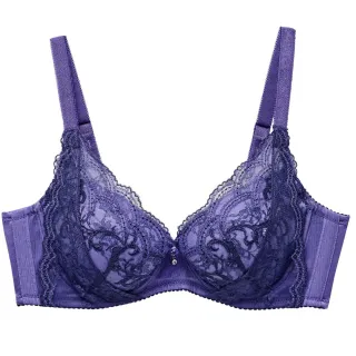 莎薇-蕾絲新視角 B-C罩杯內衣(富麗紫) 魔力推推-AB4524VI 歷史價格詳細信息