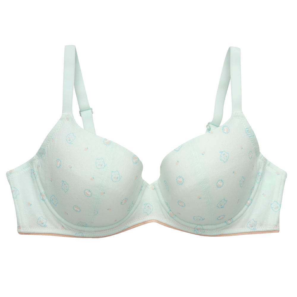 嬪婷-Q萌牛奶 S-LL學生一階內衣(水綠) 套穿式短背心-BB1076C6 歷史價格詳細信息