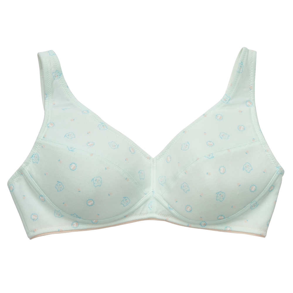 嬪婷-Q萌牛奶 S-LL學生一階內衣(水綠) 套穿式短背心-BB1076C6 歷史價格詳細信息