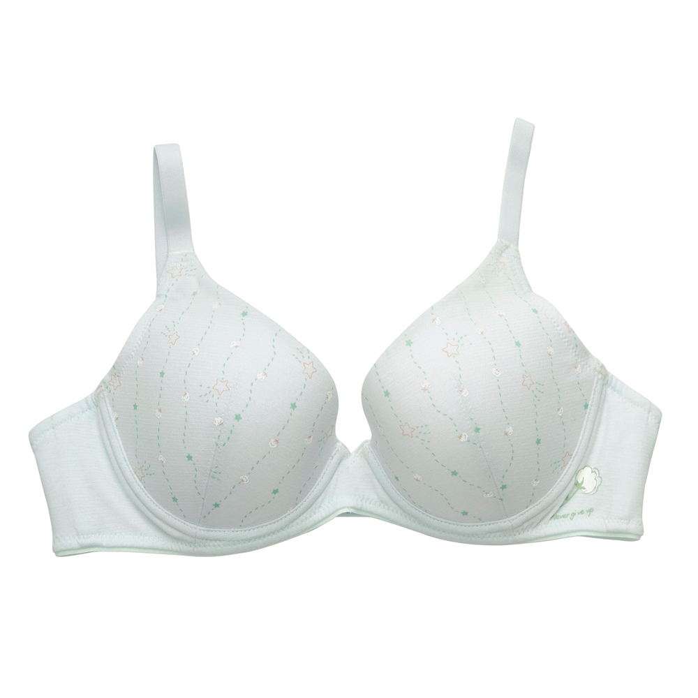 嬪婷-i earth 環保系列-零碳天絲™纖維 M-3L中低腰小平口款夜間生理褲(森林綠)-BS4574C6 歷史價格詳細信息