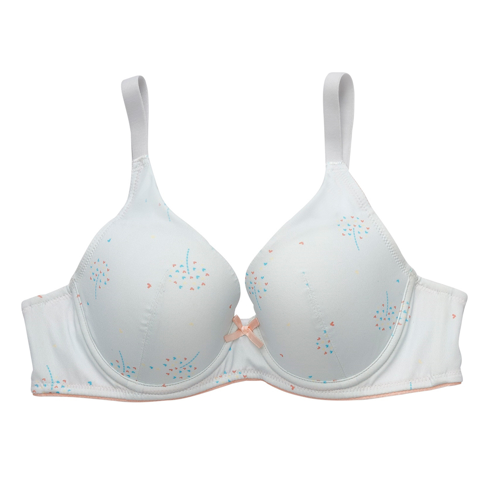 【BeenTeen 嬪婷】FTC系列-舒適記形 B-C罩杯內衣 BB3654CR(耀眼白) 歷史價格詳細信息