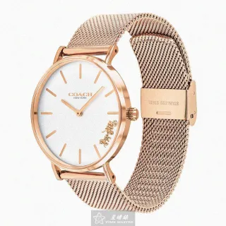 COACH 女款 金屬釦緹花LOGO防刮皮帶-焦糖色 歷史價格詳細信息