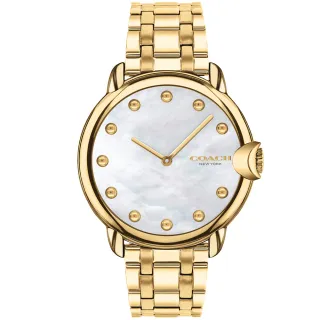【COACH】官方授權經銷商 優雅貝殼面手環式腕錶-25mm/銀(14504005) 歷史價格詳細信息