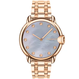 【COACH】官方授權經銷商 優雅貝殼面手環式腕錶-25mm/銀(14504005) 歷史價格詳細信息