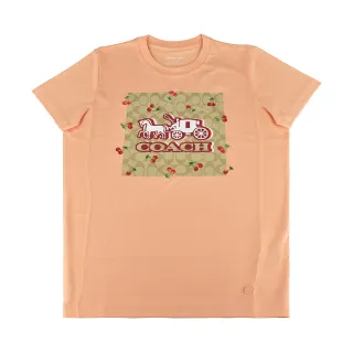 COACH 燙印馬車C LOGO條紋愛心印花手拿包(卡其酒紅) 歷史價格詳細信息