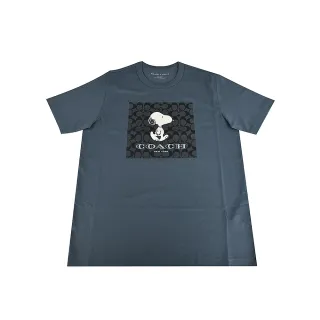 COACH 聯名款大款恐龍玫瑰圖騰PVC斜背肩背手提兩用包(紅棕色/贈原廠防塵袋紙袋 歷史價格詳細信息