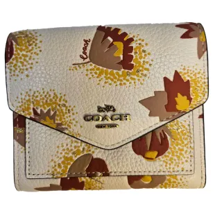 COACH 信封式長夾 栗色  國際正版中性皮夾 磁扣蓋式 防水防刮 全皮革材質燙金 不折鈔 歷史價格詳細信息