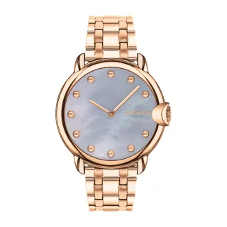 COACH 時尚玫瑰組合(曠野玫瑰女性淡香精4.5ML+時尚經典淡香水4.5ML) 歷史價格詳細信息