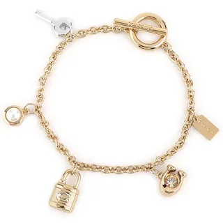 【COACH】銀X藍X金雪花吊飾鑰匙圈包包掛飾 歷史價格詳細信息