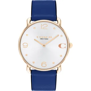 COACH Elliot 愛心C字女錶-28mm(CO14504306) 歷史價格詳細信息