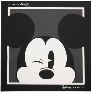 COACH Disney X Coach 米奇造型吊飾/鑰匙圈(白色) CN009 IMCHK 歷史價格詳細信息