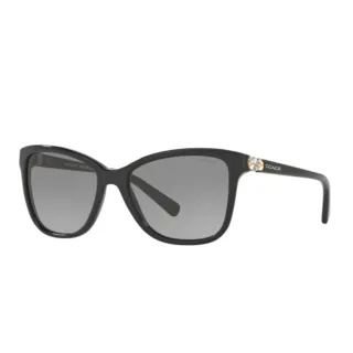 【COACH】COACH 黑框 經典大C黑面 黑米蘭錶帶 女性腕錶 手錶(14503826) 歷史價格詳細信息