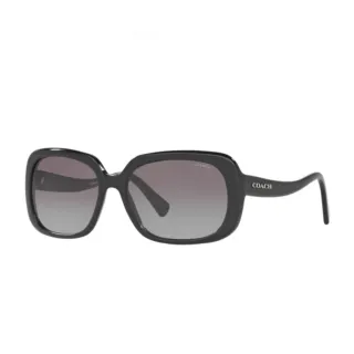 【COACH】COACH 黑框 經典大C黑面 黑米蘭錶帶 女性腕錶 手錶(14503826) 歷史價格詳細信息