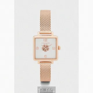 COACH 女款 金屬釦緹花LOGO防刮皮帶-咖啡色 歷史價格詳細信息