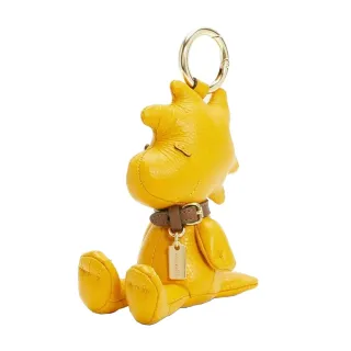 黃色coach二手價買真品 歷史價格詳細信息