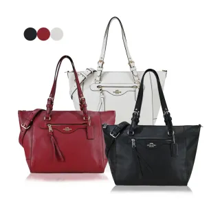 Coach流蘇情人節款桃色側背包 歷史價格詳細信息