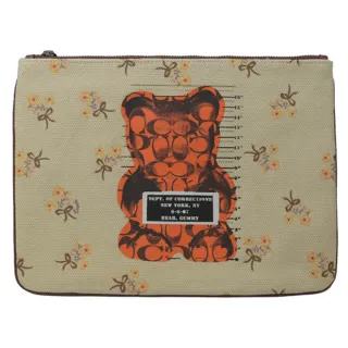 COACH 聯名款大款恐龍玫瑰圖騰PVC斜背肩背手提兩用包(紅棕色/贈原廠防塵袋紙袋 歷史價格詳細信息